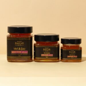 Miel JUJIBIER PREMIUM